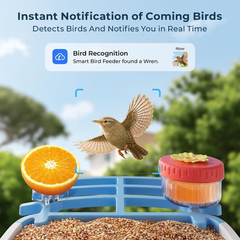 WESTHEY Bird Feeder with Camera, 2.5K HD Smart Bird Feeder Cam Outdoor with AI Recognition, Instant Arrival Alerts, Auto Capture Birds Videos, IP66 Waterproof Solar Powered, Ideal Gift (Blue) - Image 3